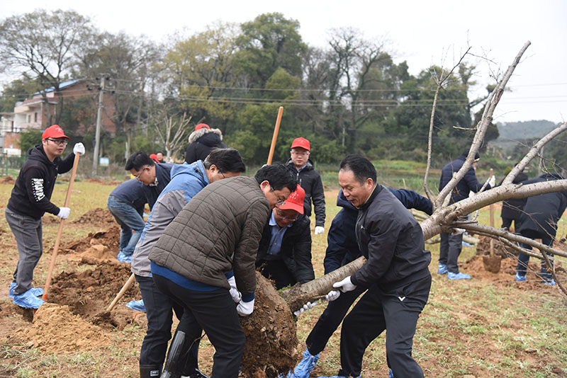 正在上傳... 正在上傳...