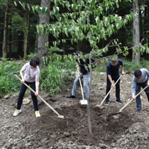 1625042504346190.png 1625042504346190.png