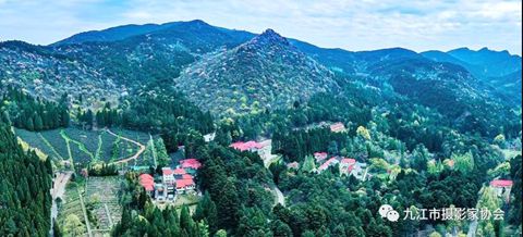 正在上傳... 正在上傳...