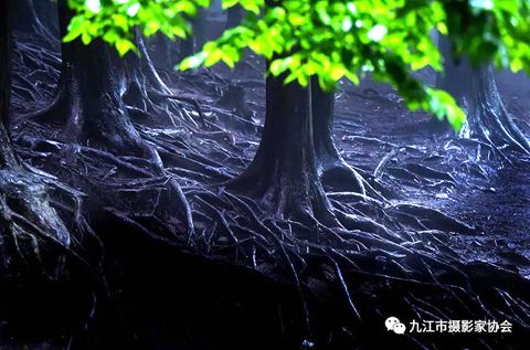 正在上傳... 正在上傳...